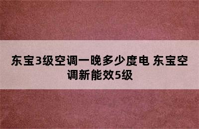 东宝3级空调一晚多少度电 东宝空调新能效5级